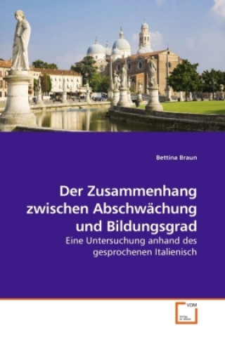 Kniha Der Zusammenhang zwischen Abschwächung und Bildungsgrad Bettina Braun