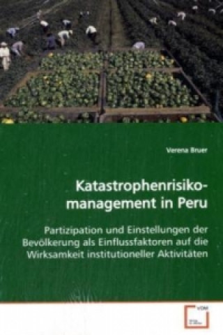 Book Katastrophenrisikomanagement in Peru Verena Bruer