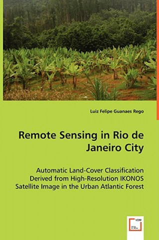 Carte Remote Sensing in Rio de Janeiro City Luiz F. Guanaes