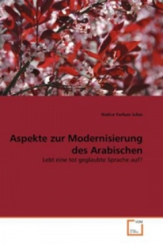 Kniha Aspekte zur Modernisierung des Arabischen Hatice Ferhan Isfen