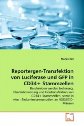 Книга Reportergen-Transfektion von Luciferase und GFP in CD34+ Stammzellen Marlen Keil