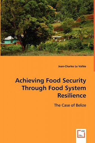 Kniha Achieving Food Security Through Food System Resilience Jean-Charles Le Vallee