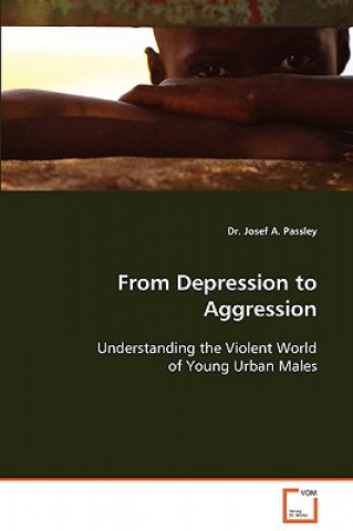 Knjiga From Depression to Aggression Josef A. Passley