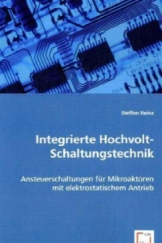 Könyv Integrierte Hochvolt-Schaltungstechnik Steffen Heinz