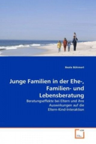 Buch Junge Familien in der Ehe-, Familien- und Lebensberatung Beate Böhmert