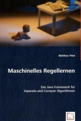 Kniha Maschinelles Regellernen Matthias Thiel