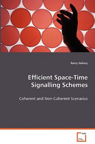 Carte Efficient Space-Time Signalling Schemes Ramy Gohary