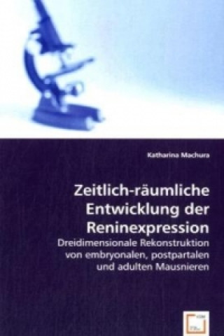 Carte Zeitlich-räumliche Entwicklung der Reninexpression Katharina Machura