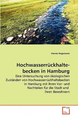 Kniha Hochwasserruckhaltebecken in Hamburg Hanne Hagemann