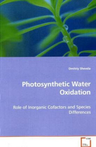 Carte Photosynthetic Water Oxidation Dmitriy Shevela