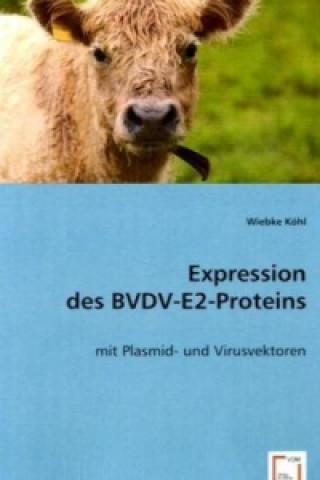 Könyv Expression desBVDV-E2-Proteins Wiebke Köhl