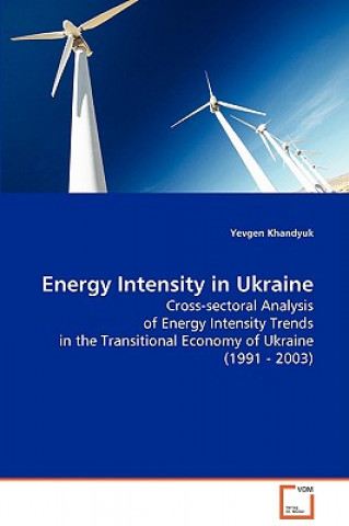 Buch Energy Intensity in Ukraine Yevgen Khandyuk