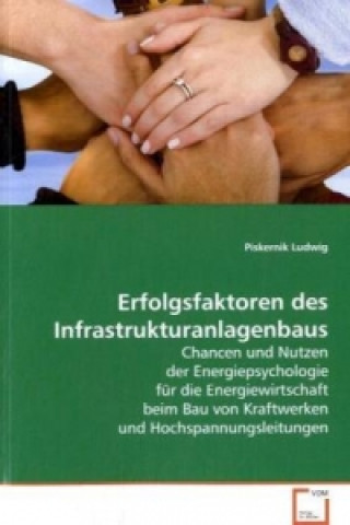 Kniha Erfolgsfaktoren des Infrastrukturanlagenbaus Piskernik Ludwig