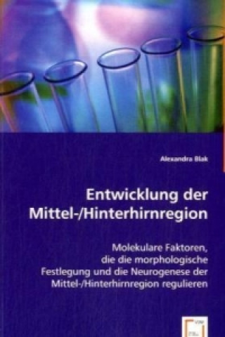 Kniha Entwicklung der  Mittel-/Hinterhirnregion Alexandra Blak