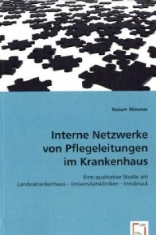 Kniha Interne Netzwerke von Pflegeleitungen im Krankenhaus. Robert Wimmer