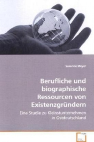 Kniha Berufliche und biographische Ressourcen von Existenzgründern Susanne Meyer