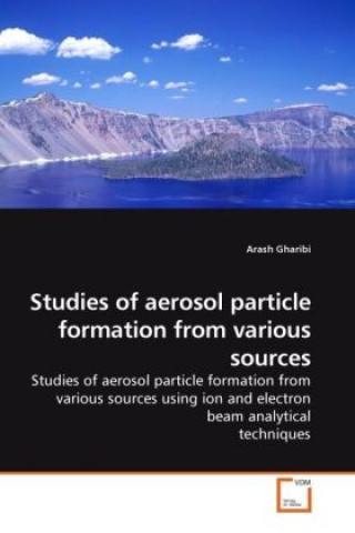 Könyv Studies of aerosol particle formation from various sources Arash Gharibi