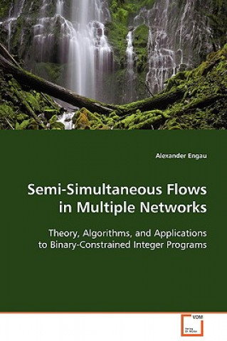 Knjiga Semi-Simultaneous Flows in Multiple Networks Alexander Engau