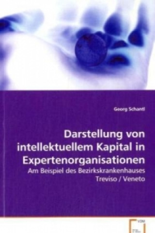 Buch Darstellung von intellektuellem Kapital in Expertenorganisationen Georg Schantl