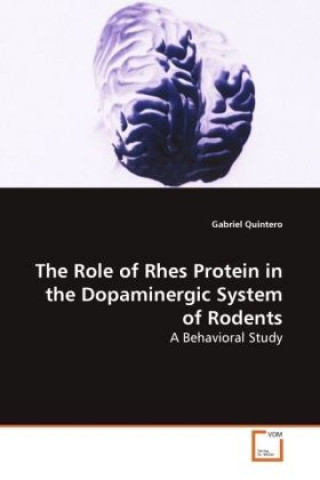 Könyv The Role of Rhes Protein in the Dopaminergic System of Rodents Gabriel Quintero