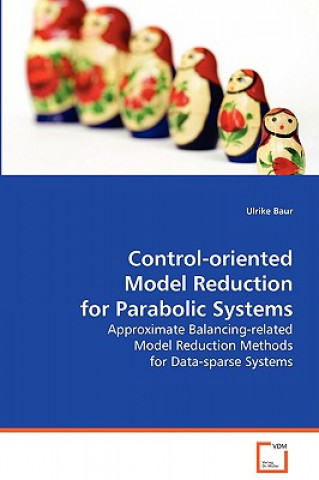 Kniha Control-oriented Model Reduction for Parabolic System Ulrike Baur