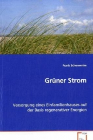 Kniha Grüner Strom Frank Scherwenke