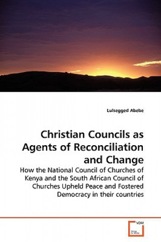 Könyv Christian Councils as Agents of Reconciliation and Change Lulsegged Abebe