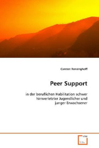 Kniha Peer Support Carsten Rensinghoff