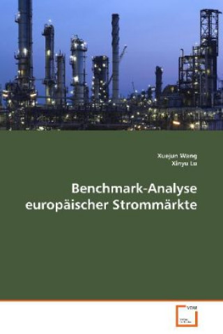 Kniha Benchmark-Analyse europäischer Strommärkte Xuejun Wang