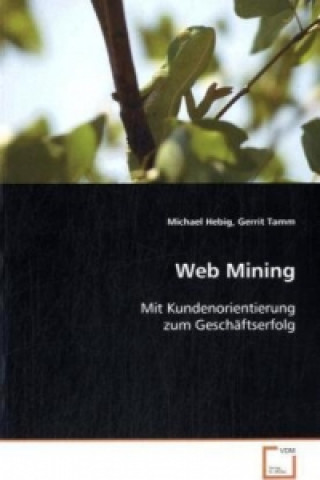 Kniha Web Mining Michael Hebig
