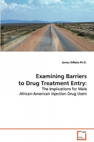 Carte Examining Barriers to Drug Treatment Entry James DiReda