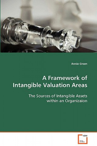 Kniha Framework of Intangible Valuation Areas Annie Green
