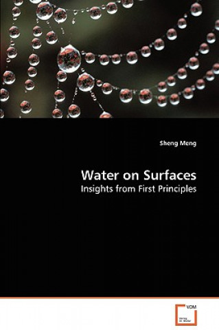 Kniha Water on Surfaces Sheng Meng