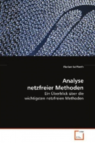 Knjiga Analyse netzfreier Methoden Florian Seifferth