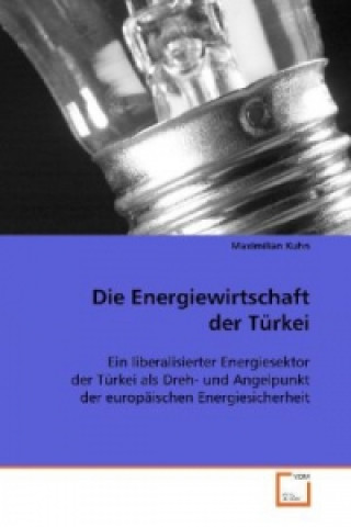 Knjiga Die Energiewirtschaft der Türkei Maximilian Kuhn