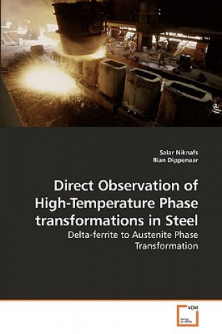 Carte Direct Observation of High-Temperature Phase transformations in Steel Salar Niknafs