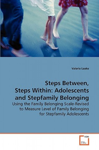 Kniha Steps Between, Steps Within Valerie Leake