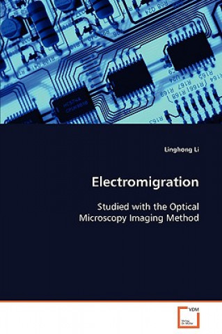 Carte Electromigration Linghong Li