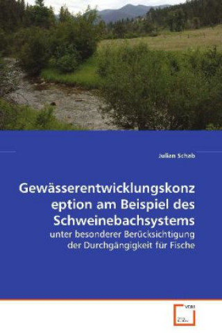 Libro Gewässerentwicklungskonzeption am Beispiel des Schweinebachsystems Julian Schab