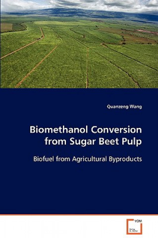 Kniha Biomethanol Conversion from Sugar Beet Pulp Quanzeng Wang