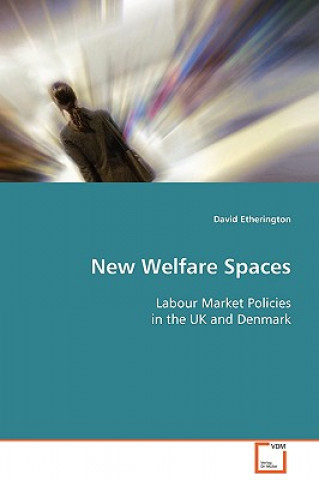 Könyv New Welfare Spaces David Etherington