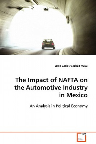 Könyv Impact of NAFTA on the Automotive Industry in Mexico Juan Carlos Gachúz Maya