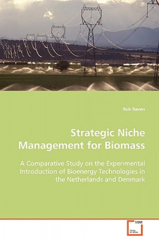 Book Strategic Niche Management for Biomass Rob Raven