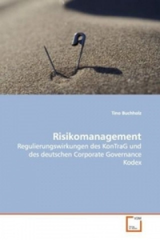 Könyv Risikomanagement Tino Buchholz