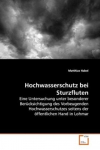 Kniha Hochwasserschutz bei Sturzfluten Matthias Habel