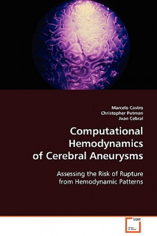 Kniha Computational Hemodynamics of Cerebral Aneurysms Marcelo Castro