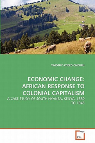 Könyv Economic Change Timothy A. Onduru