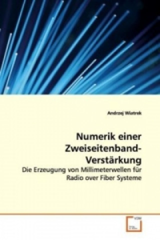 Könyv Numerik einer Zweiseitenband-Verstärkung Andrzej Wiatrek