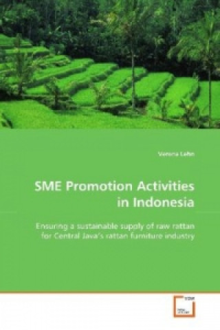 Kniha SME Promotion Activities in Indonesia Verena Lehn