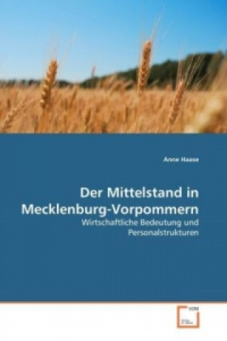 Kniha Der Mittelstand in Mecklenburg-Vorpommern Anne Haase